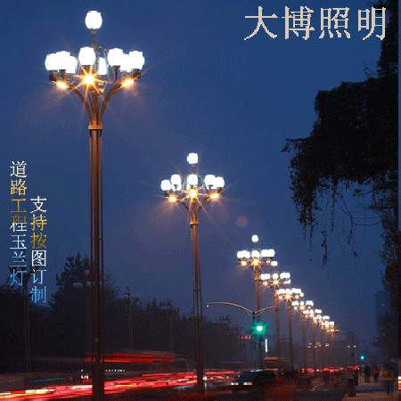 LED玉蘭燈特色中式芙蓉款廣場商業(yè)街道路照明高亮裝飾廠家批發(fā)